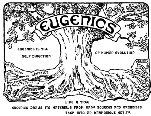 Logo from the Second International Eugenics Conference, 1921, depicting eugenics as a tree which unites a variety of different fields.